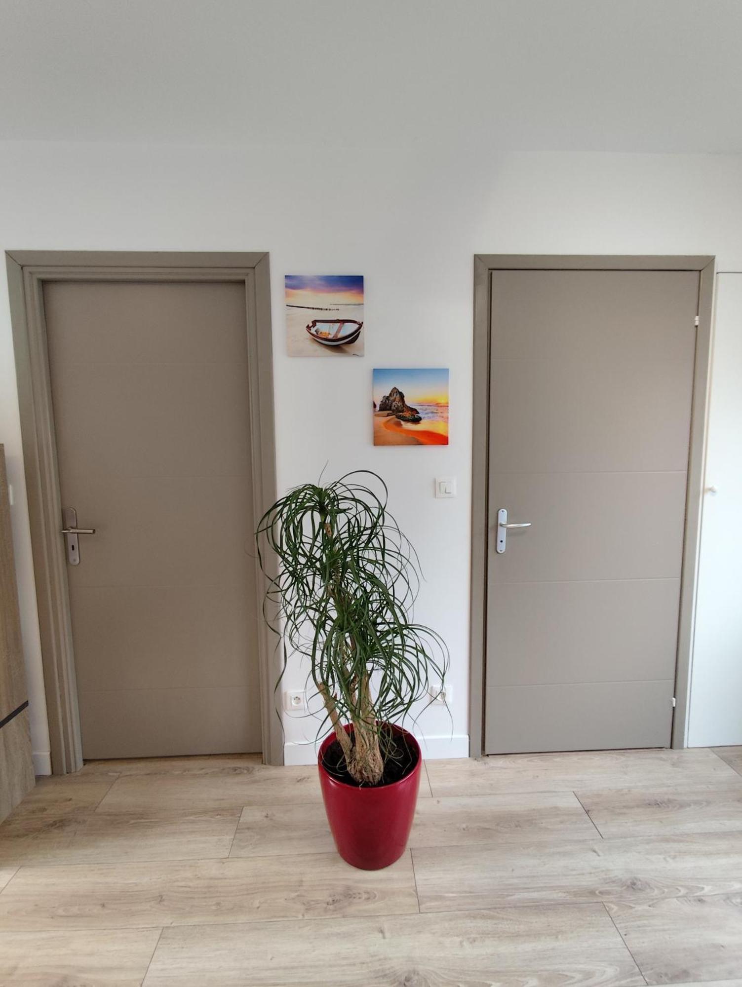 Apartment 1 *